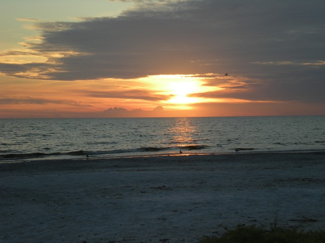 Click for Tampa, Florida Forecast